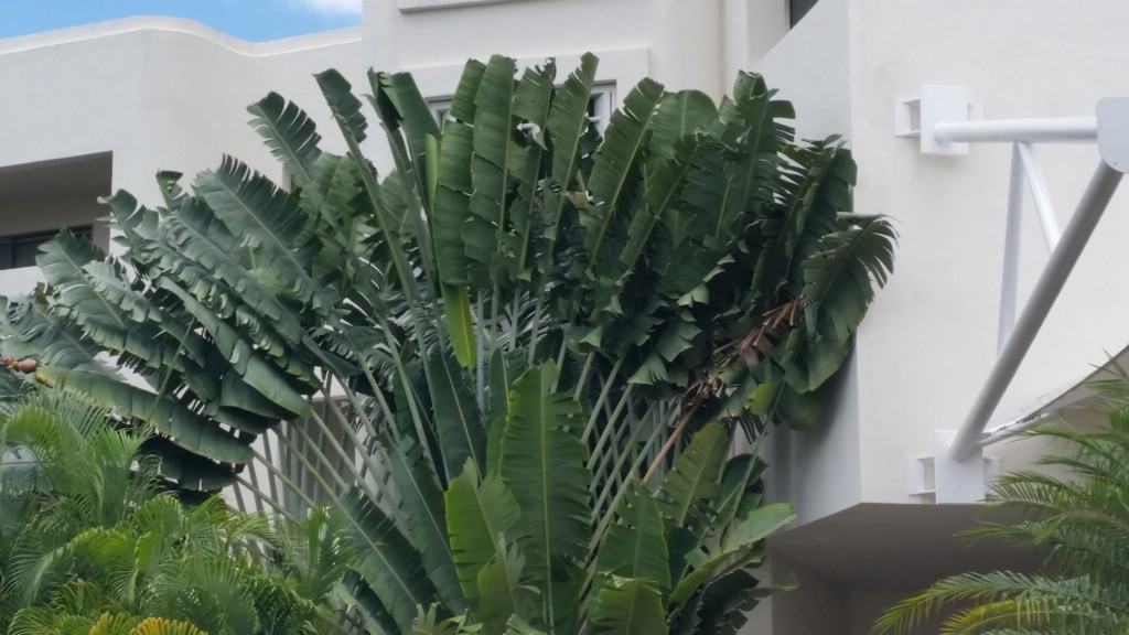 20150505_115544.jpg
