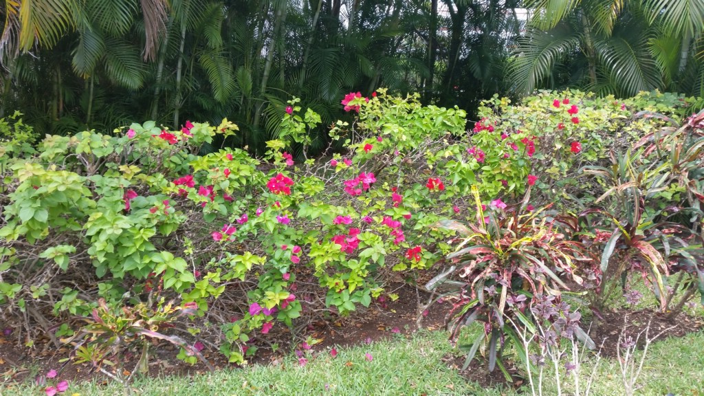 20150505_115559.jpg
