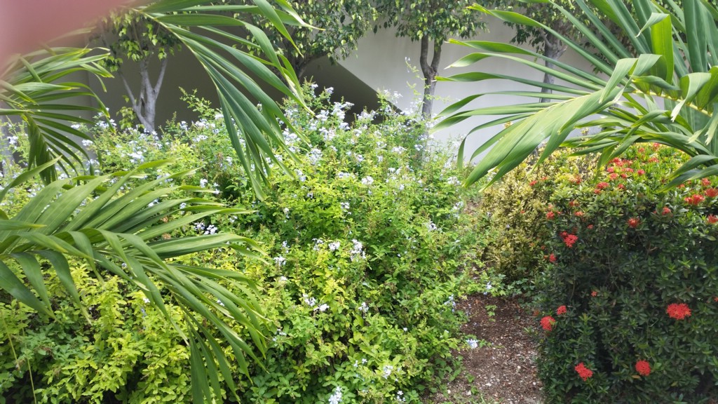 20150505_115619.jpg