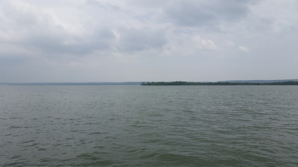 20150508_130713.jpg