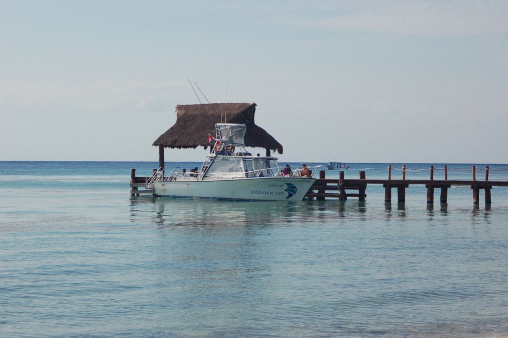 DSC_0010.JPG