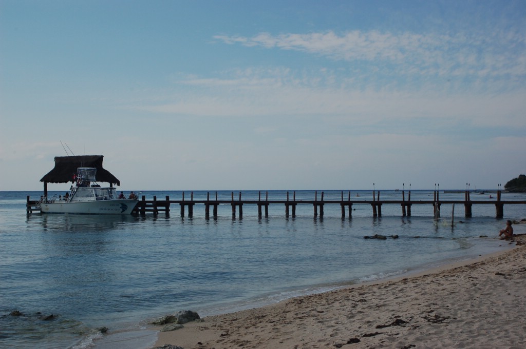 DSC_0012.JPG