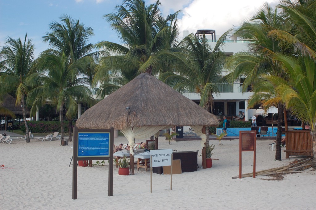 DSC_0013.JPG