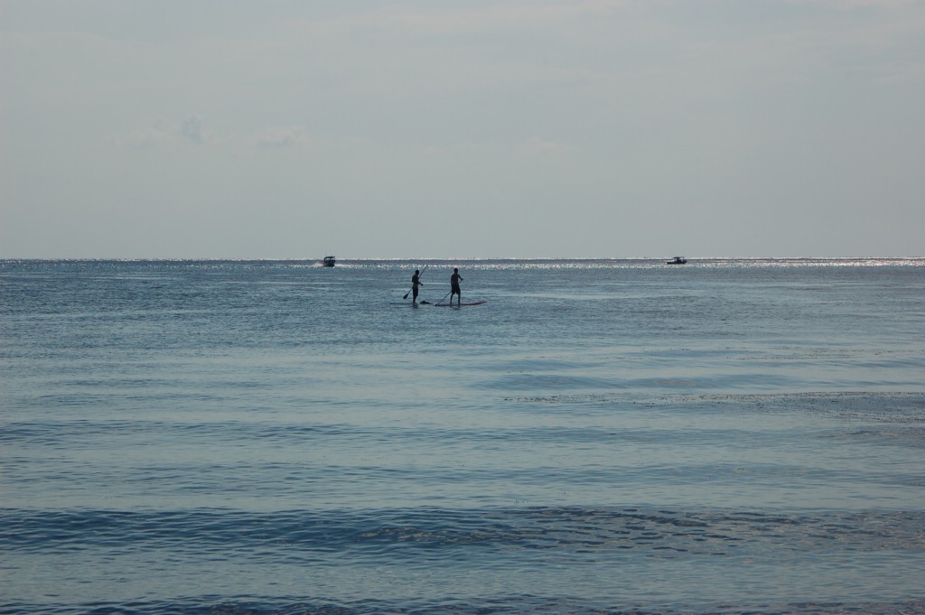 DSC_0017.JPG