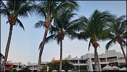 20150503_190711.jpg