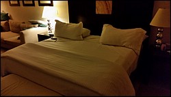 20150503_205344.jpg