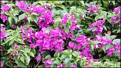 20150504_163702.jpg
