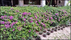 20150504_163708.jpg