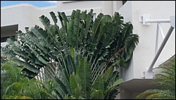 20150505_115544.jpg