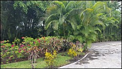 20150505_115552.jpg