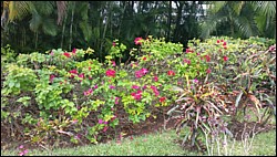 20150505_115559.jpg