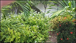 20150505_115619.jpg