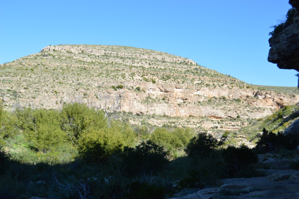 DSC_0020.JPG