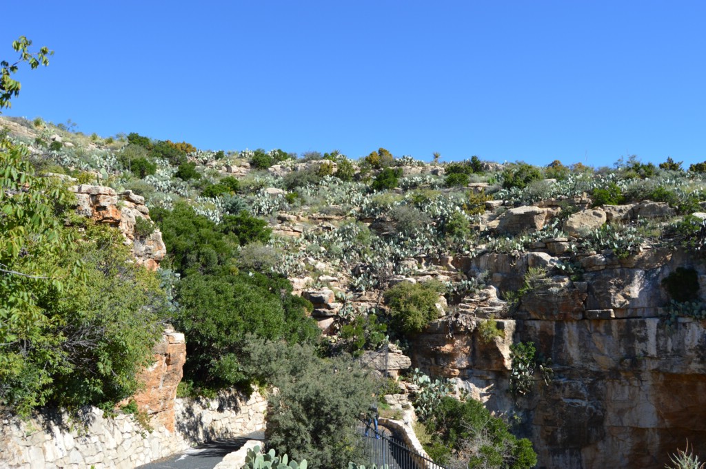 DSC_0023.JPG