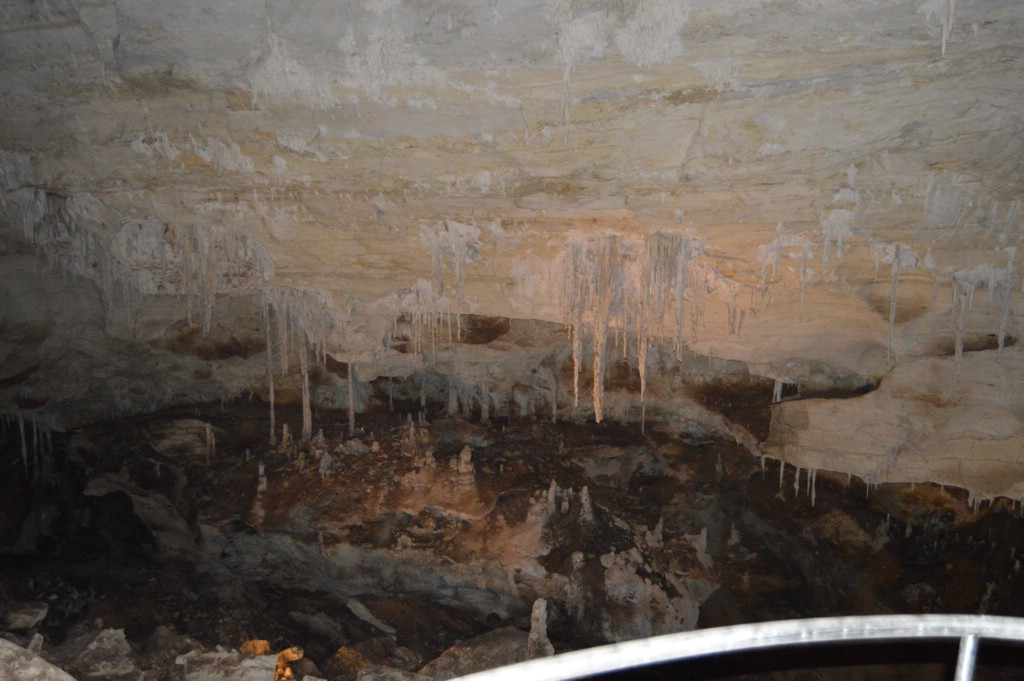 DSC_0033.JPG