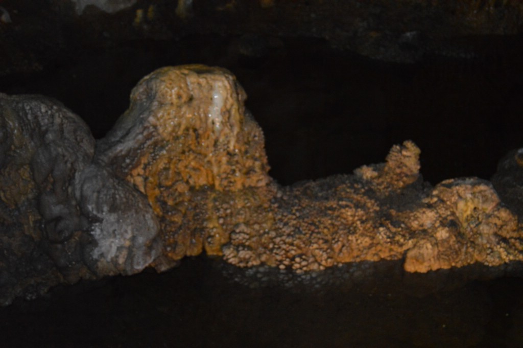 DSC_0042.JPG