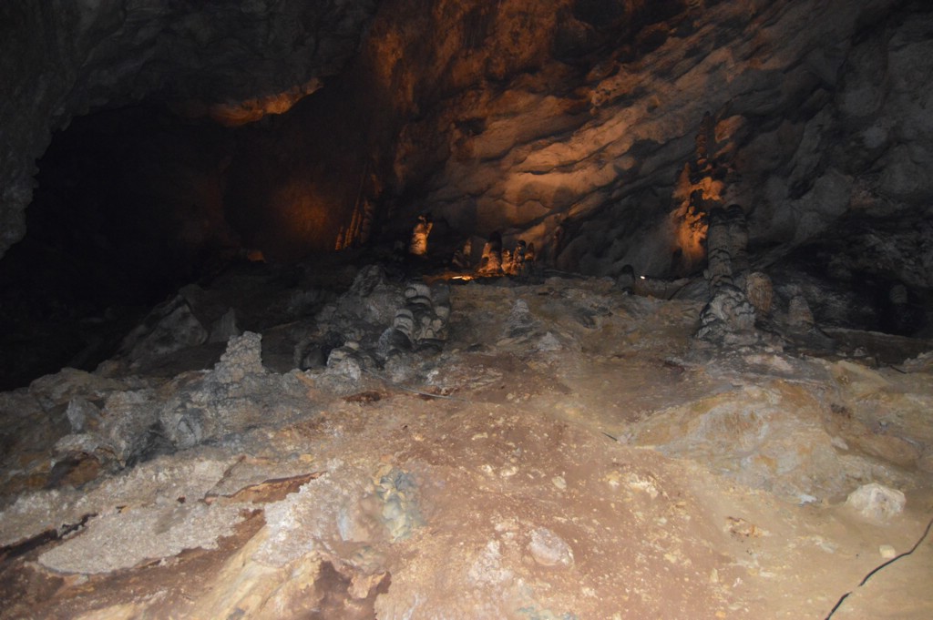DSC_0050.JPG