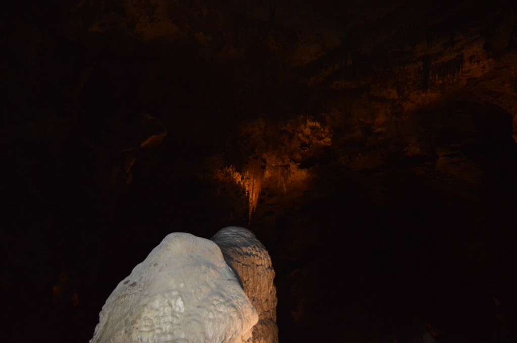 DSC_0051.JPG