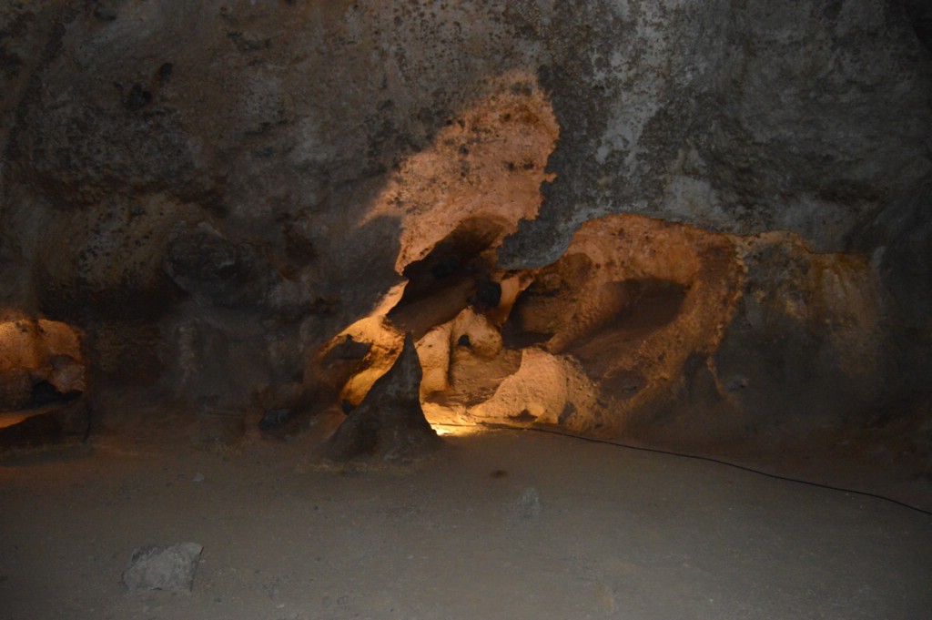 DSC_0070.JPG