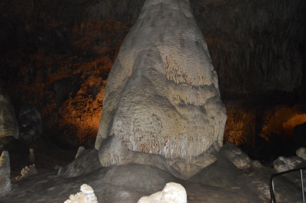 DSC_0084.JPG