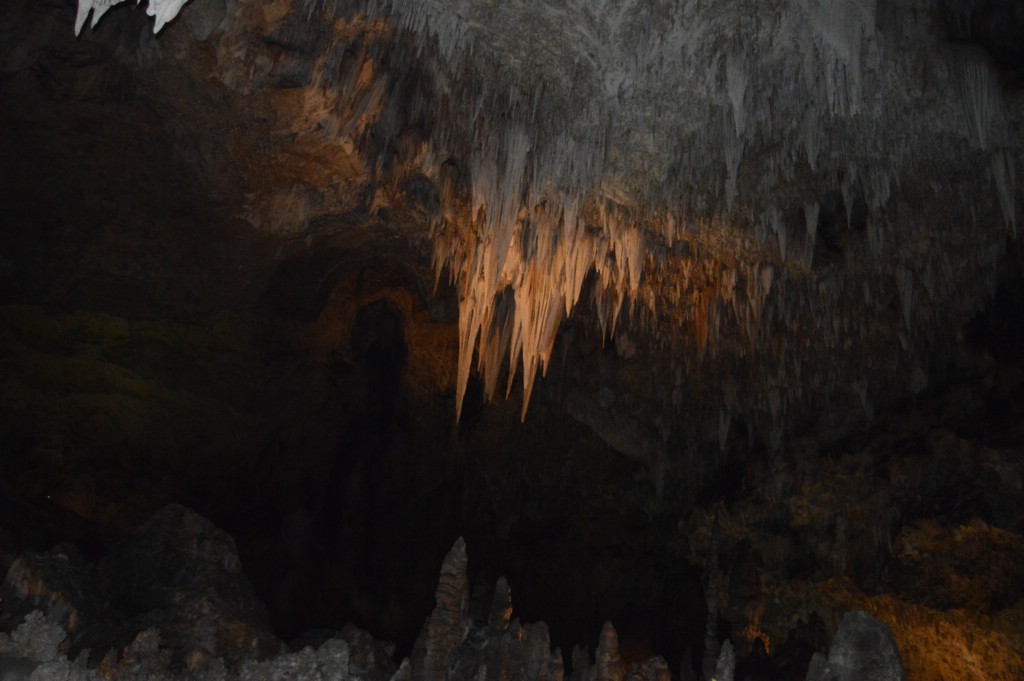 DSC_0093.JPG