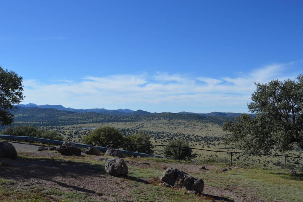 DSC_0127.JPG