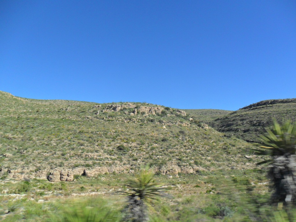 SAM_0807.JPG