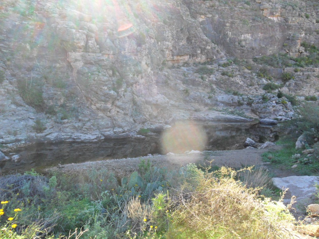 SAM_0813.JPG