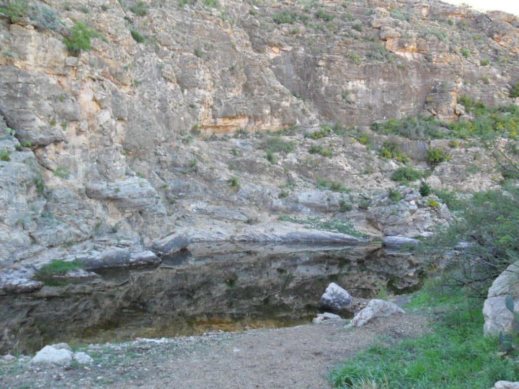 SAM_0814.JPG