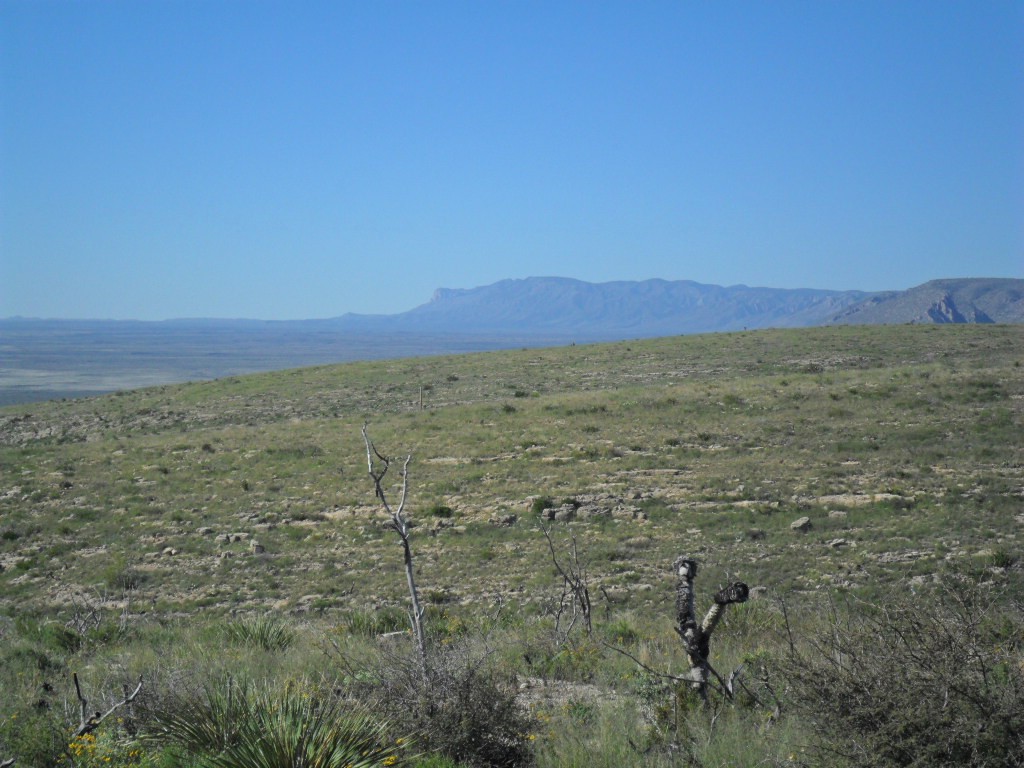 SAM_0820.JPG