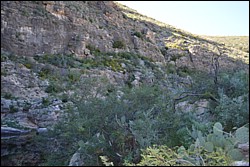DSC_0014.JPG