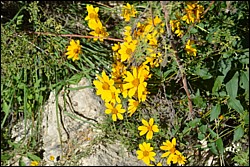 DSC_0015.JPG