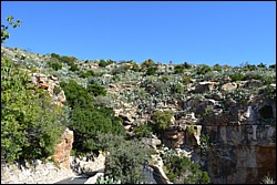 DSC_0023.JPG