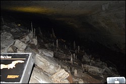DSC_0032.JPG