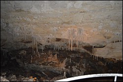 DSC_0033.JPG