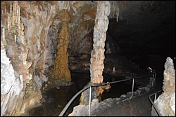 DSC_0040.JPG