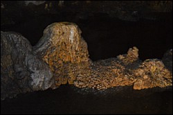 DSC_0042.JPG