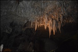 DSC_0086.JPG