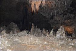 DSC_0092.JPG