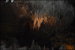 DSC_0093.JPG