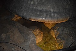 DSC_0097.JPG