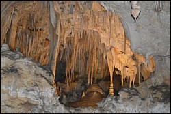 DSC_0101.JPG
