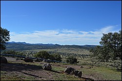 DSC_0127.JPG