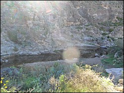 SAM_0813.JPG