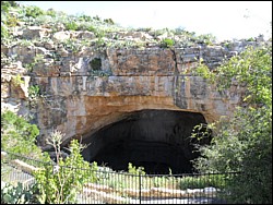 SAM_0822.JPG