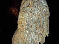 SAM_0840.JPG