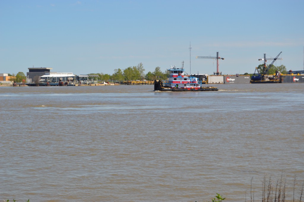DSC_0017.JPG