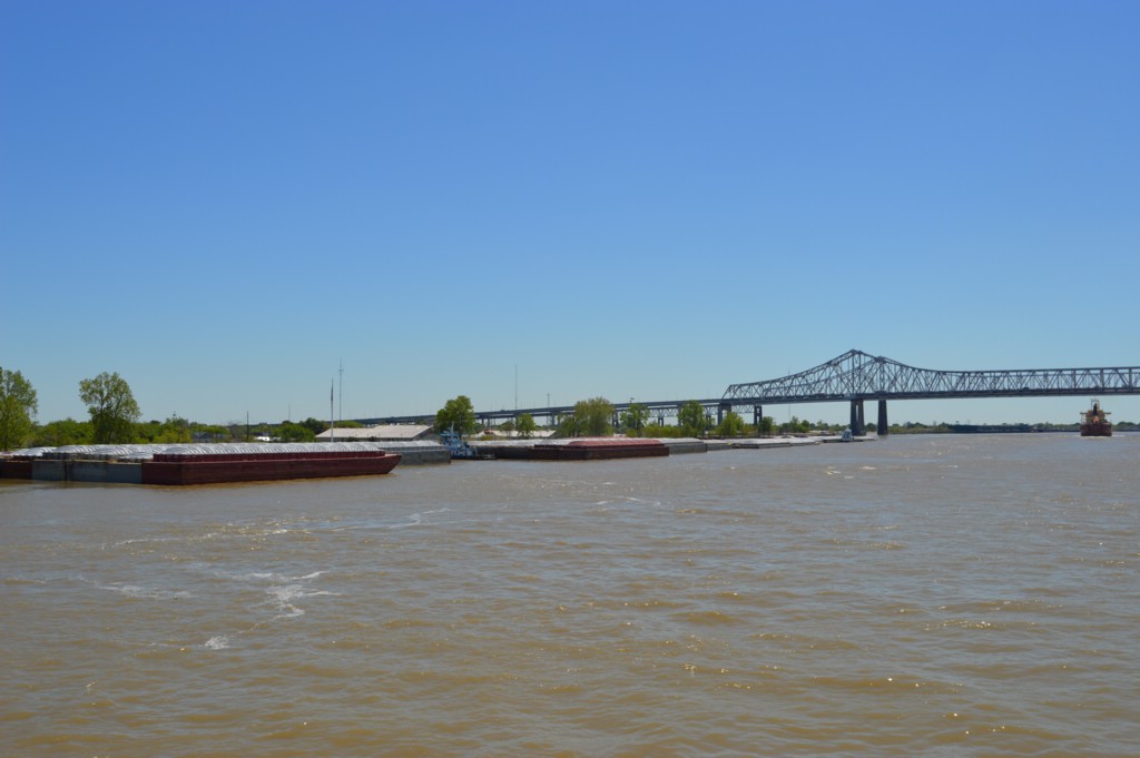 DSC_0050.JPG