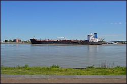 DSC_0015.JPG
