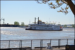 DSC_0019.JPG